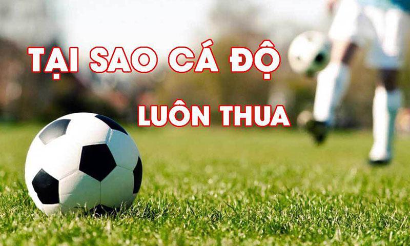 Giải Đáp Thắc Mắc Tại Sao Cá Độ Bóng Đá Luôn Thua 1 Tại sao cá độ bóng đá luôn thua