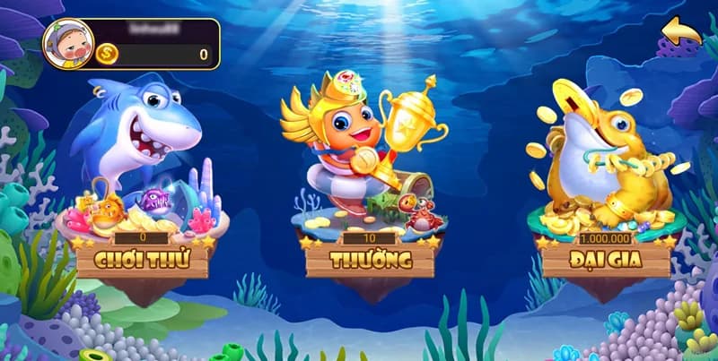 Bắn Cá Bingo 79 - Trùm Đẳng Cấp Săn Cá Đổi Thưởng Uy Tín 2 Tổng quan chi tiết bắn cá bingo 79