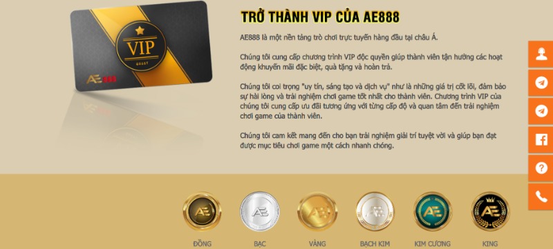 AE888 - Trải nghiệm cá cược chất lượng không giới hạn 9 Quyền lợi khi trở thành thành viên VIP AE888
